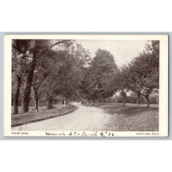 Antique Postcard State Road Buckland Mass Black & White Scene #1445 - Picture 1 of 2